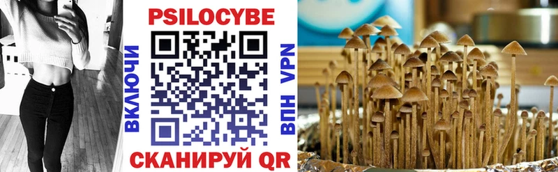 Псилоцибиновые грибы Psilocybe  кракен рабочий сайт  Новохопёрск 